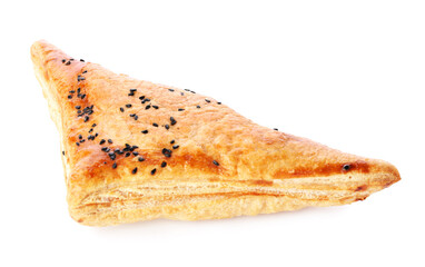 Tasty Uzbek samsa on white background
