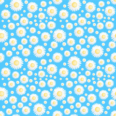 littile daisy Seamless pattern on blue background  cute floral pattern vector  