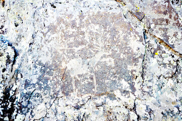 Petroglyphs in the Altai mountains, deer petroglyphs.
