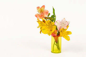 colorful flowers in small vase on white background