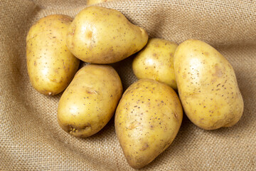 New potatoes on burlap. Raw yellow potatoes. New crop