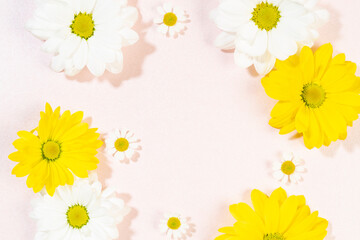 Naklejka na ściany i meble yellow and white daisies on a pink background