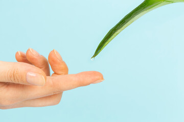 woman hand and leaf on turquoise background