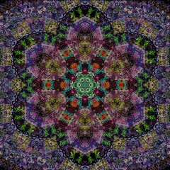 mandala drawing digital symmetrical pattern	