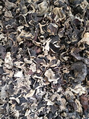 Dried black mushrooms are sold in the market, for cooking