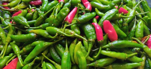 Colourful and fresh chillies used to make tasty food