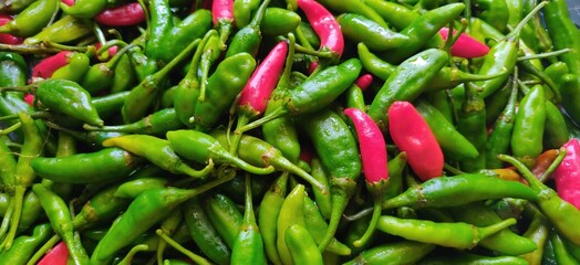 Colourful and fresh chillies used to make tasty food