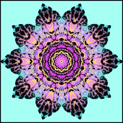 mandala drawing digital symmetrical pattern	