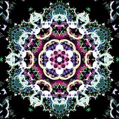 mandala drawing digital symmetrical pattern	