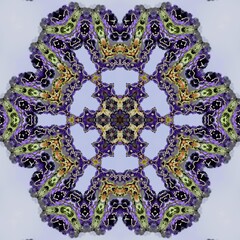 mandala drawing digital symmetrical pattern	
