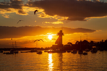 Fototapeta na wymiar amazing sunset by the seaside. Seagulls flying and boats are ready to sail