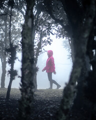 Woman wearing pink coat walking in the woods