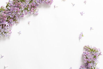 Flowers composition. Spring purple lilac flowers on white background. Flat lay, top view, copy...