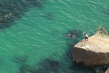 Fototapeta premium Diving