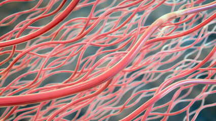 Collagen triple helix molecules, 3D illustration