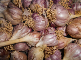 garlic pile texture picture. fresh and healthy garlics stock background for the market. Photo of vegetable food plant garlic bulbs.