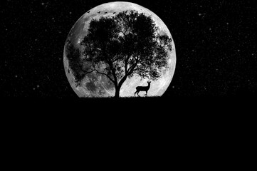 lunar backlight of leafless tree and a moose. - obrazy, fototapety, plakaty