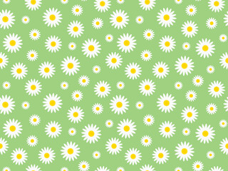 seamless daisy pattern - vector illustration