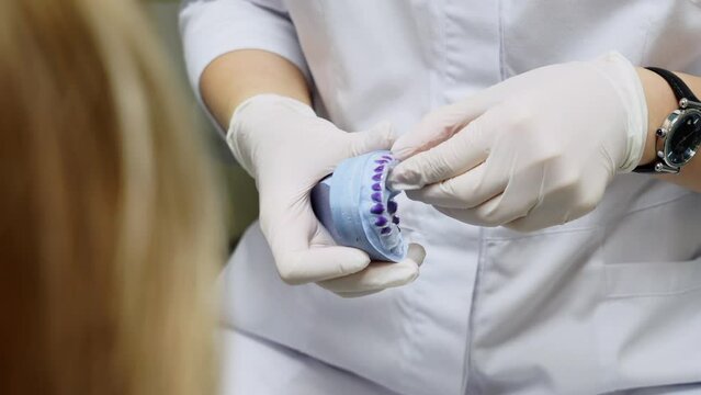 the dentist shows how the dental cap works on the jaw model