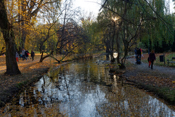 Fototapeta na wymiar Jesienny park przed zachodem słońca