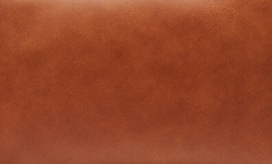 Empty brown color smooth leather