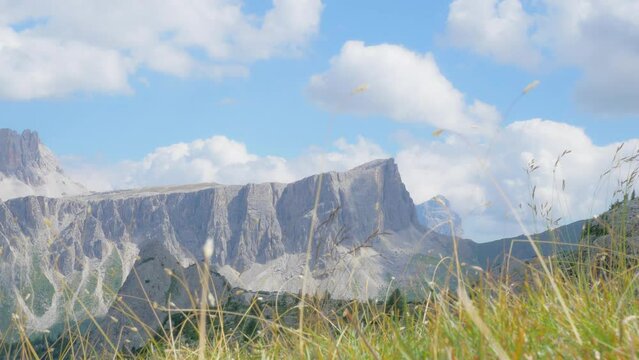 Gigantic flat rock of the chain of the Dolomites that rises in front of a blue sky with white clouds. in the foreground the grass that moves in the wind gives a feeling of peace and relaxation