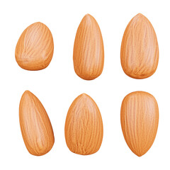 3d render of Almond collection isolated on white Background.