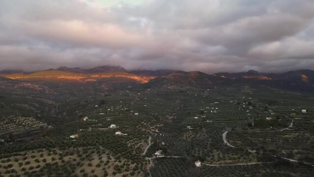 Aerial view from olive's sea in Quesada, Jaen, Spain