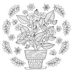 Hand drawn round shape coloring page for kids and adults. Beautiful drawings with patterns and small details. Coloring book with potted plant, tree branch, leaves. Vector