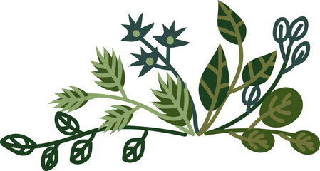 Branch Border Line with Green Leafy Curved Twig as Botany and Foliage Decor © topvectors