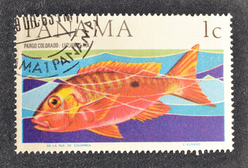  Cancelled postage stamp printed by Panama, that shows Southern Red Snapper (Lutjanus aya), circa 1965.