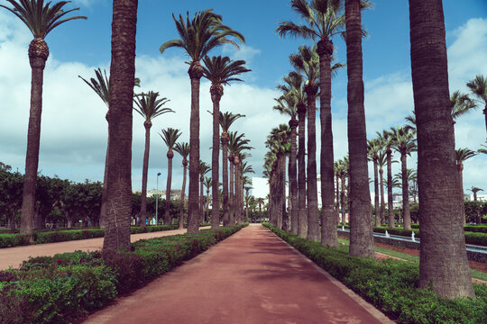 The Arab League Park (Parc de la Ligue arabe ) is an urban park in Casablanca, Morocco