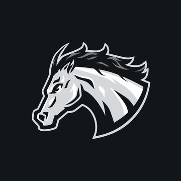 Silver stallion head vector illustration template. Racehorse mascot logo clipart. Can be used for labels, banners, or advertisements.