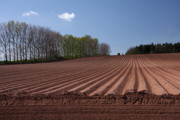 Ploughed field on arable farm under a blue sky