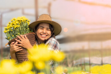 Happy gardener wearing cowboy hat with big smile holding basket full of yellow chrysanthemum in the flowers farm with copy space on the right.