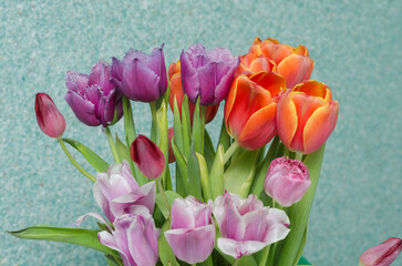 spring bouquet of flowers tulips