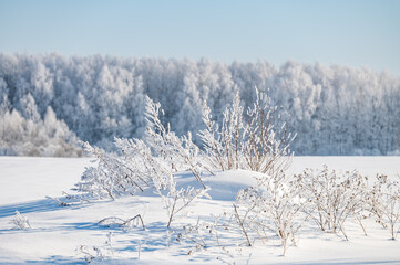 not frozen pond in winter