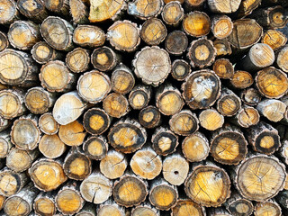Оld wood texture background wallpaper , stack of wood
