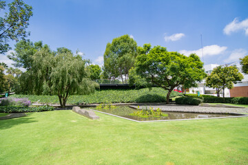 Hermoso jardín de estilo abierto , con un gran césped verde abierto para fiestas y actividades al...