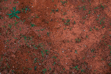 a texture of a red pebble ground with grass