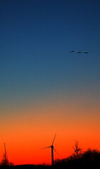 Windmill and Sunset