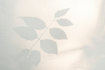 Leaf shadow and light on wall blur background. Nature tropical leaves tree branch plant shade sunlight on white wall texture shadow overlay effect foliage mockup