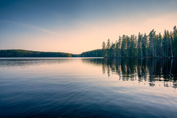 Obraz premium Peaceful forest lake at sunset on a summer evening