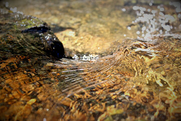 water flow