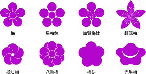 Naklejka premium Japanese traditional simple plum icon set