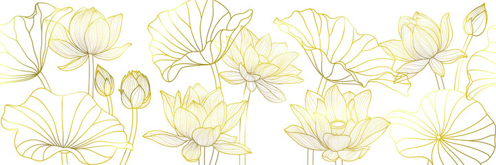 Luxury golden lotus and leaf background. vector.