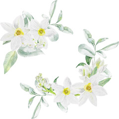 Daffodil flower watercolor frame