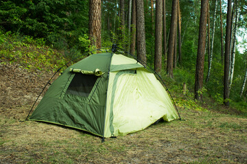 Tent in a pine tree forest