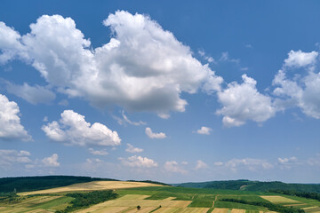Aerial landscape view of clear blue sky over green cultivated agricultural fields with growing...