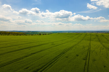 Aerial landscape view of green cultivated agricultural fields with growing crops on bright summer day